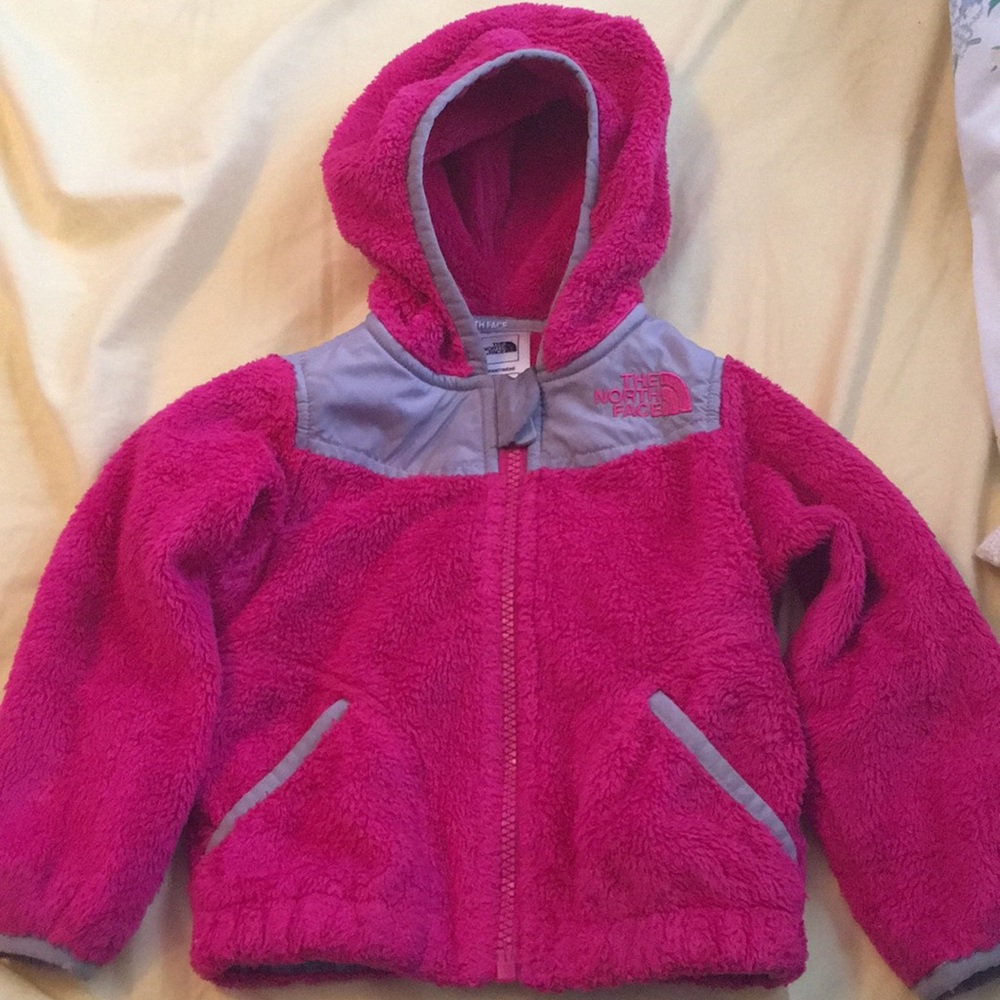 Toddler North Face jacket